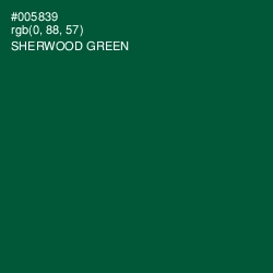 #005839 - Sherwood Green Color Image